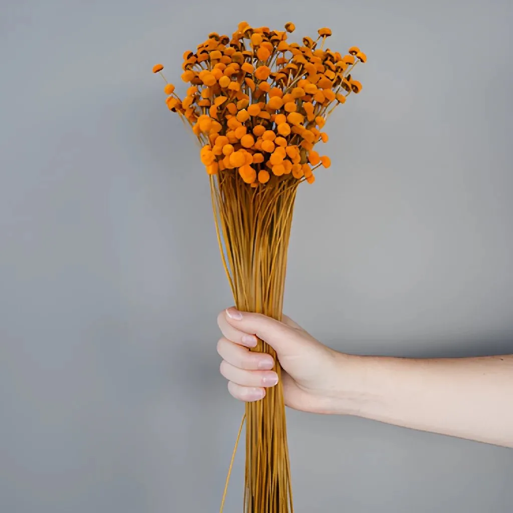Burnt Orange Dried Floral Buttons