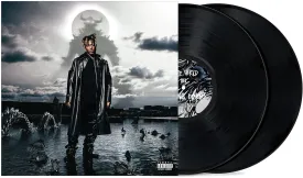 Fighting Demons[2 LP] Explicit Lyrics